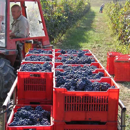 Séjour à la ferme Cascina Rocca