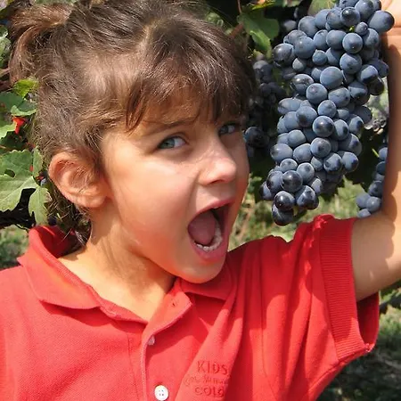 Cascina Rocca * La Morra