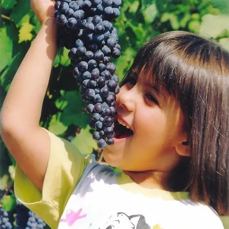 Séjour à la ferme Cascina Rocca *