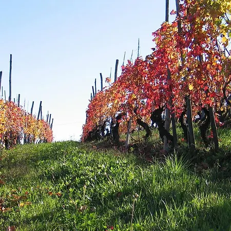 Cascina Rocca *