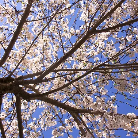 Cascina Rocca * La Morra