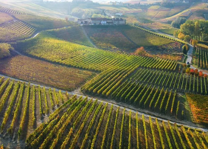 Cascina Rocca Lantgård La Morra