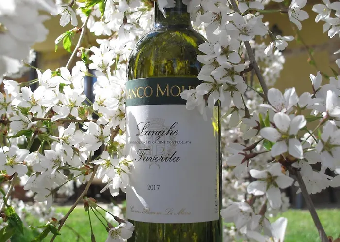 Cascina Rocca * La Morra