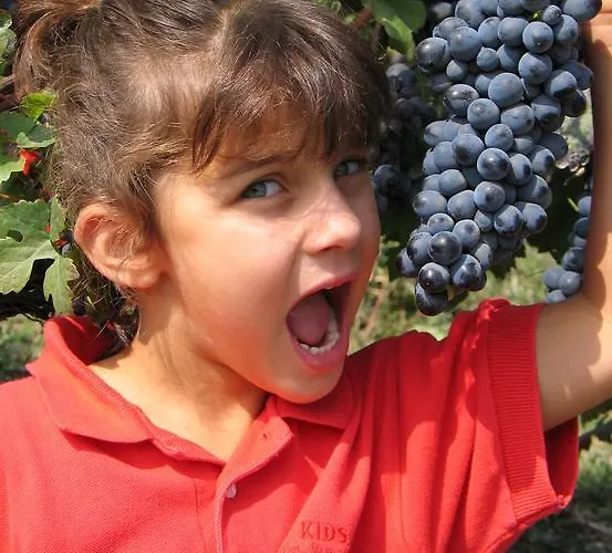 Cascina Rocca * La Morra