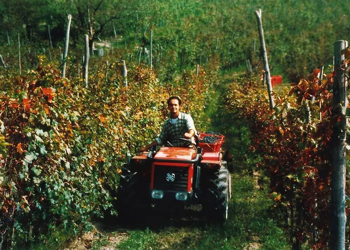 Cascina Rocca Lantgård